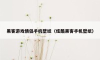黑客游戏情侣手机壁纸(炫酷黑客手机壁纸)