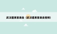 武汉遭黑客袭击（武汉遭黑客袭击视频）