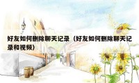 好友如何删除聊天记录(好友如何删除聊天记录和视频)