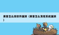 黑客怎么找软件漏洞（黑客怎么发现系统漏洞）