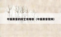 中国黑客的综艺有哪些（中国黑客视频）