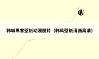 韩城黑客壁纸动漫图片（韩风壁纸漫画高清）