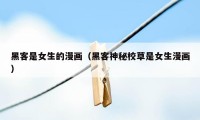 黑客是女生的漫画（黑客神秘校草是女生漫画）