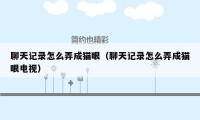 聊天记录怎么弄成猫眼（聊天记录怎么弄成猫眼电视）