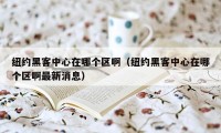 纽约黑客中心在哪个区啊(纽约黑客中心在哪个区啊最新消息)