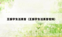 王振宇生活黑客(王振宇生活黑客视频)