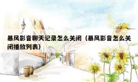 暴风影音聊天记录怎么关闭(暴风影音怎么关闭播放列表)