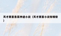 天才黑客各显神通小说(天才黑客小说有哪些)