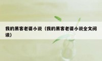 我的黑客老婆小说(我的黑客老婆小说全文阅读)