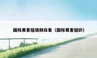 国际黑客组级别白象(国际黑客组织)