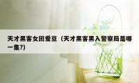 天才黑客女团爱豆（天才黑客黑入警察局是哪一集?）