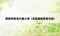 黑客利用电力猫入侵（交易猫被黑客攻击）