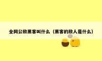 全网公敌黑客叫什么（黑客的敌人是什么）