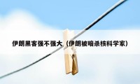 伊朗黑客强不强大(伊朗被暗杀核科学家)