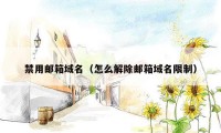 禁用邮箱域名(怎么解除邮箱域名限制)