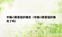 中国cl黑客组织曝光(中国cl黑客组织曝光了吗)