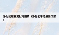净化能破解沉默吗图片(净化能不能解除沉默)