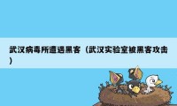 武汉病毒所遭遇黑客(武汉实验室被黑客攻击)