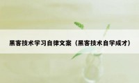 黑客技术学习自律文案(黑客技术自学成才)