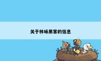 关于林咏黑客的信息