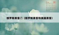 俄罗斯黑客门（俄罗斯黑客和美国黑客）