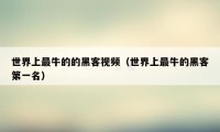 世界上最牛的的黑客视频(世界上最牛的黑客第一名)