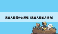 黑客入侵是什么原理（黑客入侵的方法有）