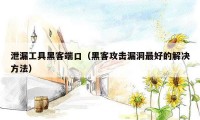 泄漏工具黑客端口（黑客攻击漏洞最好的解决方法）