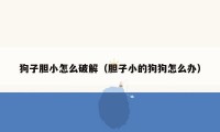 狗子胆小怎么破解(胆子小的狗狗怎么办)