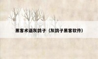 黑客术语灰鸽子(灰鸽子黑客软件)