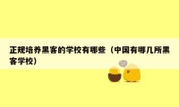 正规培养黑客的学校有哪些(中国有哪几所黑客学校)
