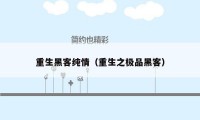 重生黑客纯情(重生之极品黑客)
