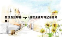 盈世企业邮箱pop(盈世企业邮箱登录原尚易)