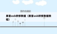 黑客usb转移数据(黑客usb转移数据教程)