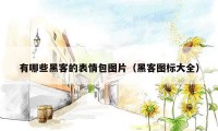 有哪些黑客的表情包图片(黑客图标大全)