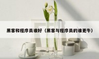 黑客和程序员谁好(黑客与程序员的谁更牛)