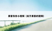 黑客生存小视频(关于黑客的视频)