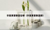 华夏黑客联盟在哪(华夏黑客联盟群)