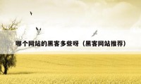 哪个网站的黑客多些呀(黑客网站推荐)
