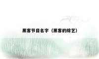 黑客节目名字(黑客的综艺)