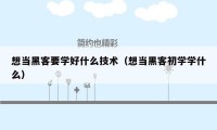 想当黑客要学好什么技术(想当黑客初学学什么)