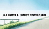 单身黑客感情史(单身黑客感情史在线阅读)