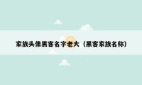 家族头像黑客名字老大(黑客家族名称)