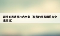 甜蜜的黑客图片大全集（甜蜜的黑客图片大全集高清）