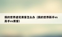 我的世界遇见黑客怎么办（我的世界新手vs高手vs黑客）