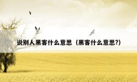 说别人黑客什么意思(黑客什么意思?)