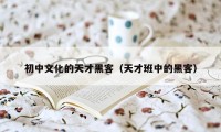 初中文化的天才黑客(天才班中的黑客)