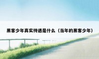 黑客少年真实待遇是什么(当年的黑客少年)