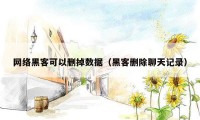网络黑客可以删掉数据(黑客删除聊天记录)