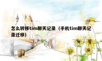怎么转移tim聊天记录(手机tim聊天记录迁移)